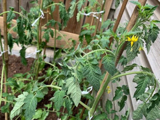 Allfit podcast aflevering 1